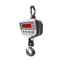 Crane Scale
