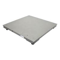 Platform Scale