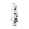NOARK 1-Pole Miniature Circuit Breaker w/Box Lug Terminal
